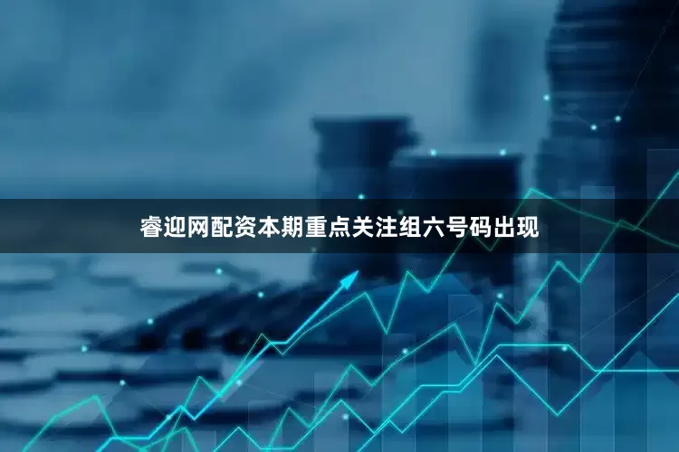 睿迎网配资本期重点关注组六号码出现