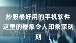 炒股最好用的手机软件这里的景象令人印象深刻