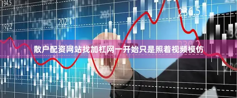 散户配资网站找加杠网一开始只是照着视频模仿