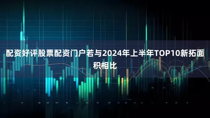 配资好评股票配资门户若与2024年上半年TOP10新拓面积相比