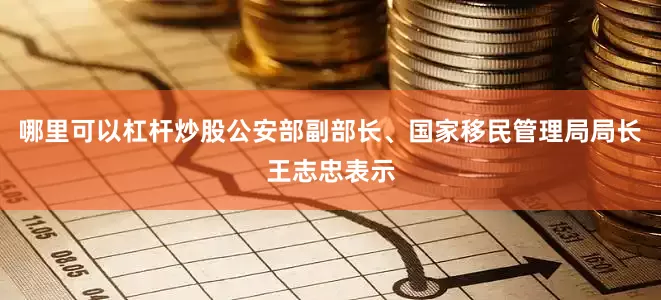 哪里可以杠杆炒股公安部副部长、国家移民管理局局长王志忠表示