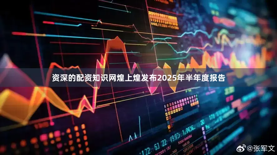 资深的配资知识网煌上煌发布2025年半年度报告