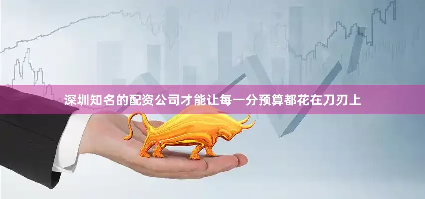深圳知名的配资公司才能让每一分预算都花在刀刃上
